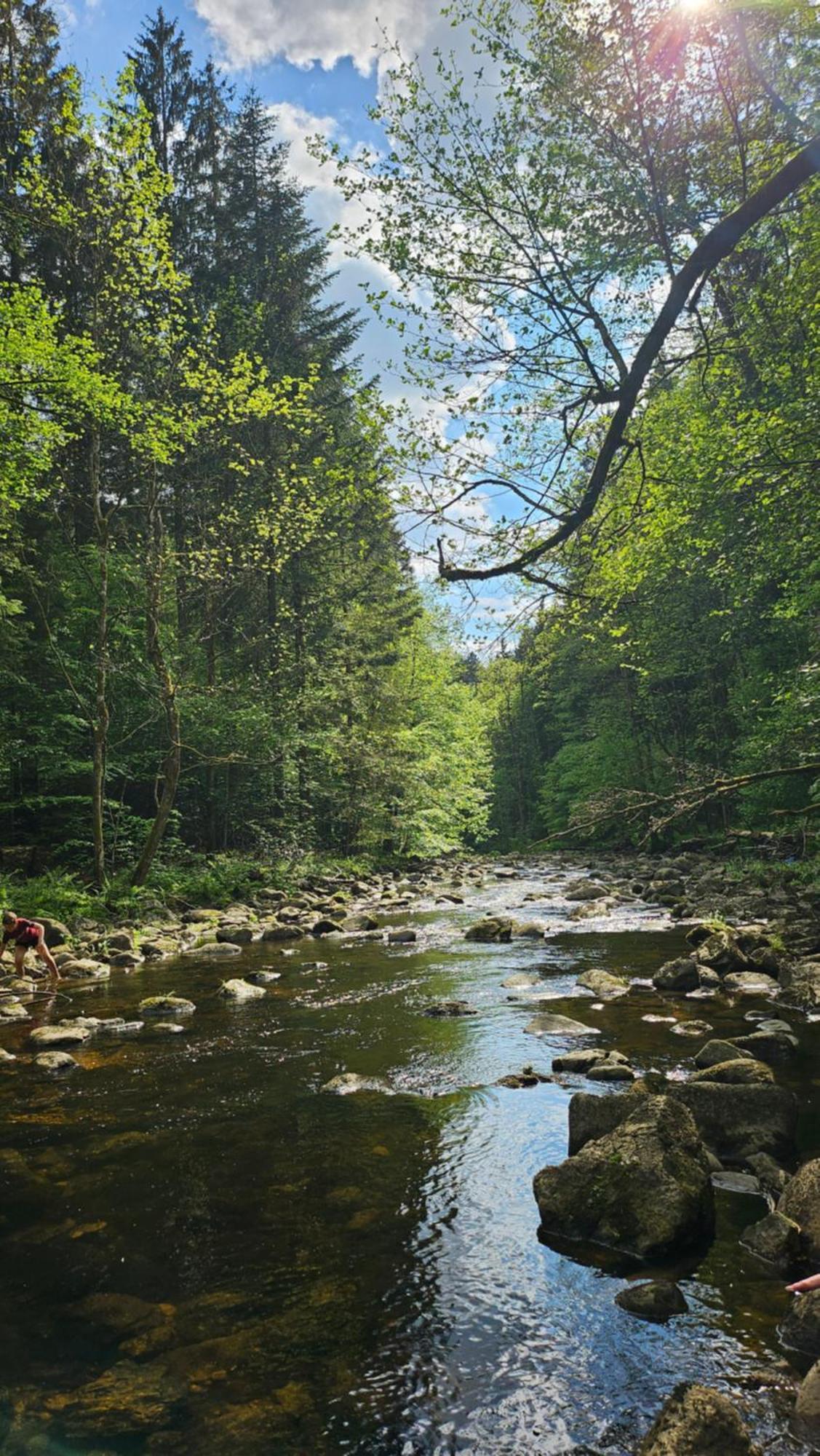 Herz³ Hohenau